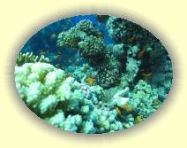 IMG_2007_05_27 18_30_52 * 2272 x 1704 * (672KB)